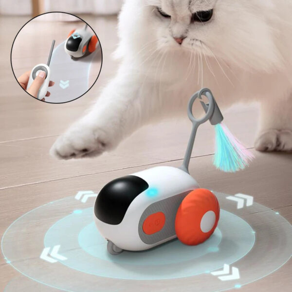 USB Charging Remote Control Interactive Toy