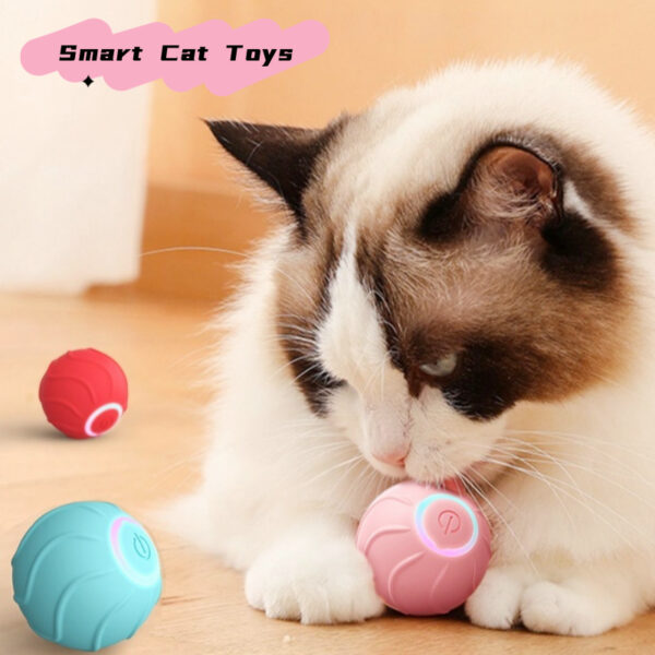 Smart Rolling Ball Cat Toys R