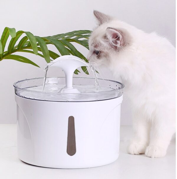 Pet Intelligent Automatic Water Dispenser