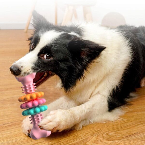 Dog Chew Bone Type Teething Toys - Image 9