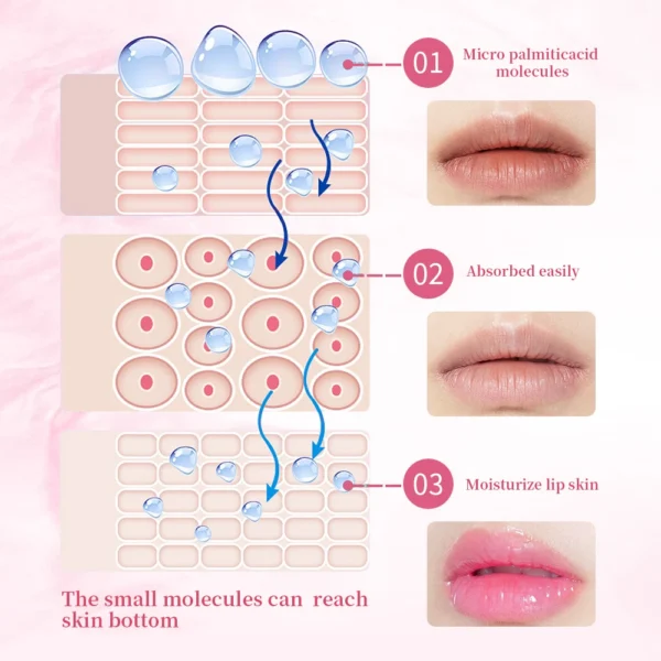ibcccndc Pink Lip Serum Lotion Moisturizes Moisturizes And Plump Lips Removes Dead Skin Pink Lip Essence Brightener Use Of Face - Image 6